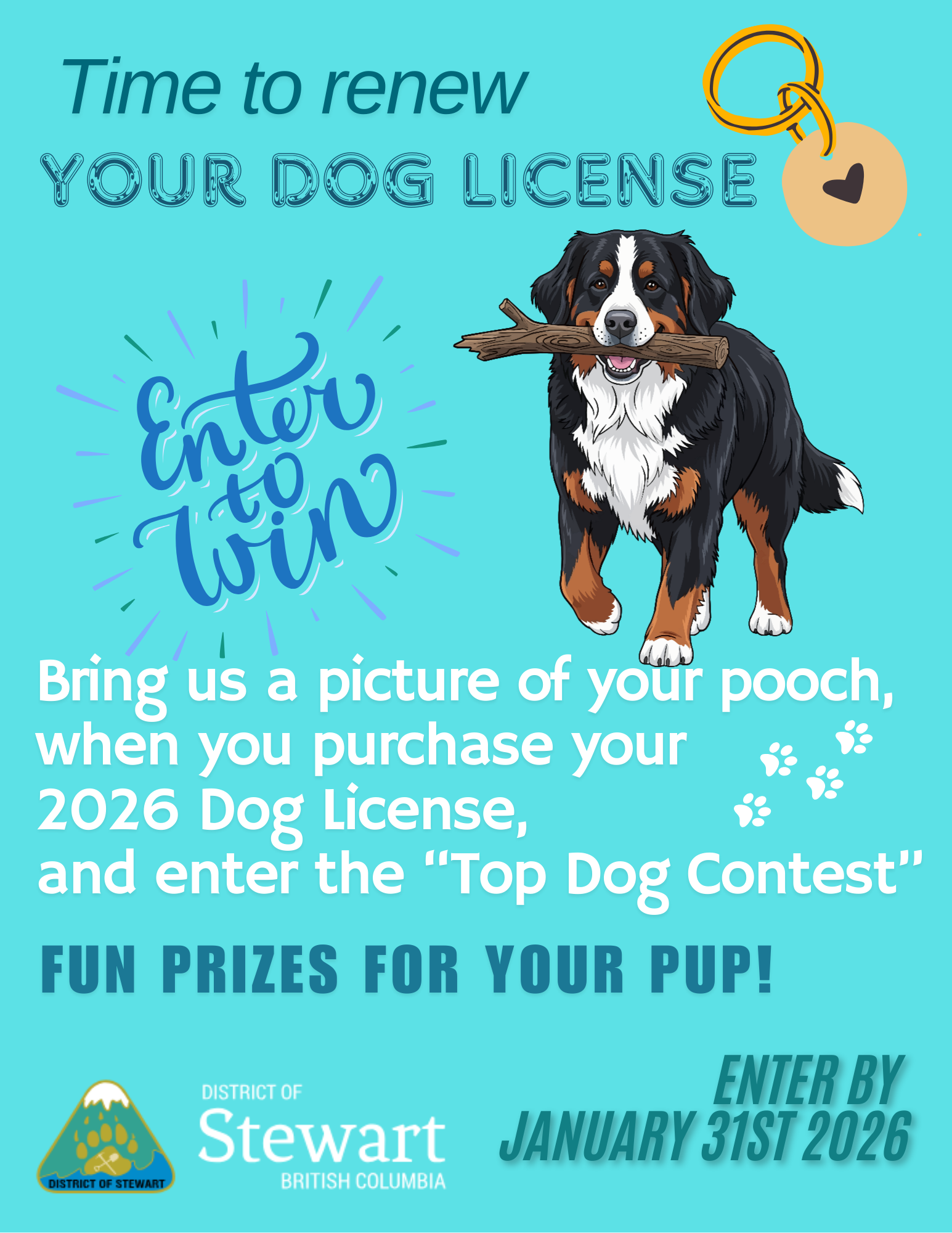 Dog_Licence_Renewal_