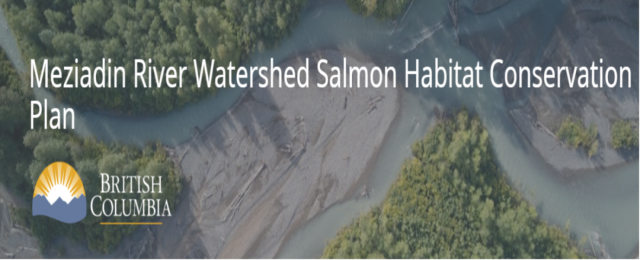 Update: Meziadin River Watershed Salmon Habitat Conservation Plan